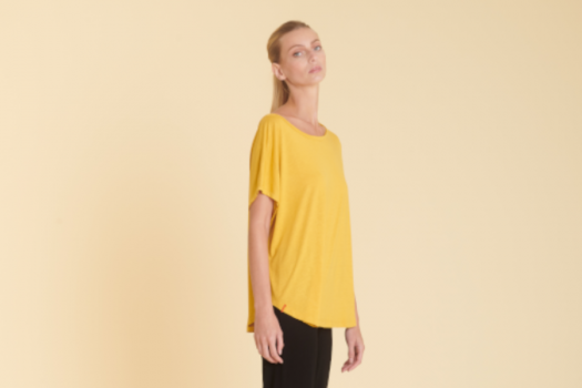 Histoire d'un modèle, le PARFAIT