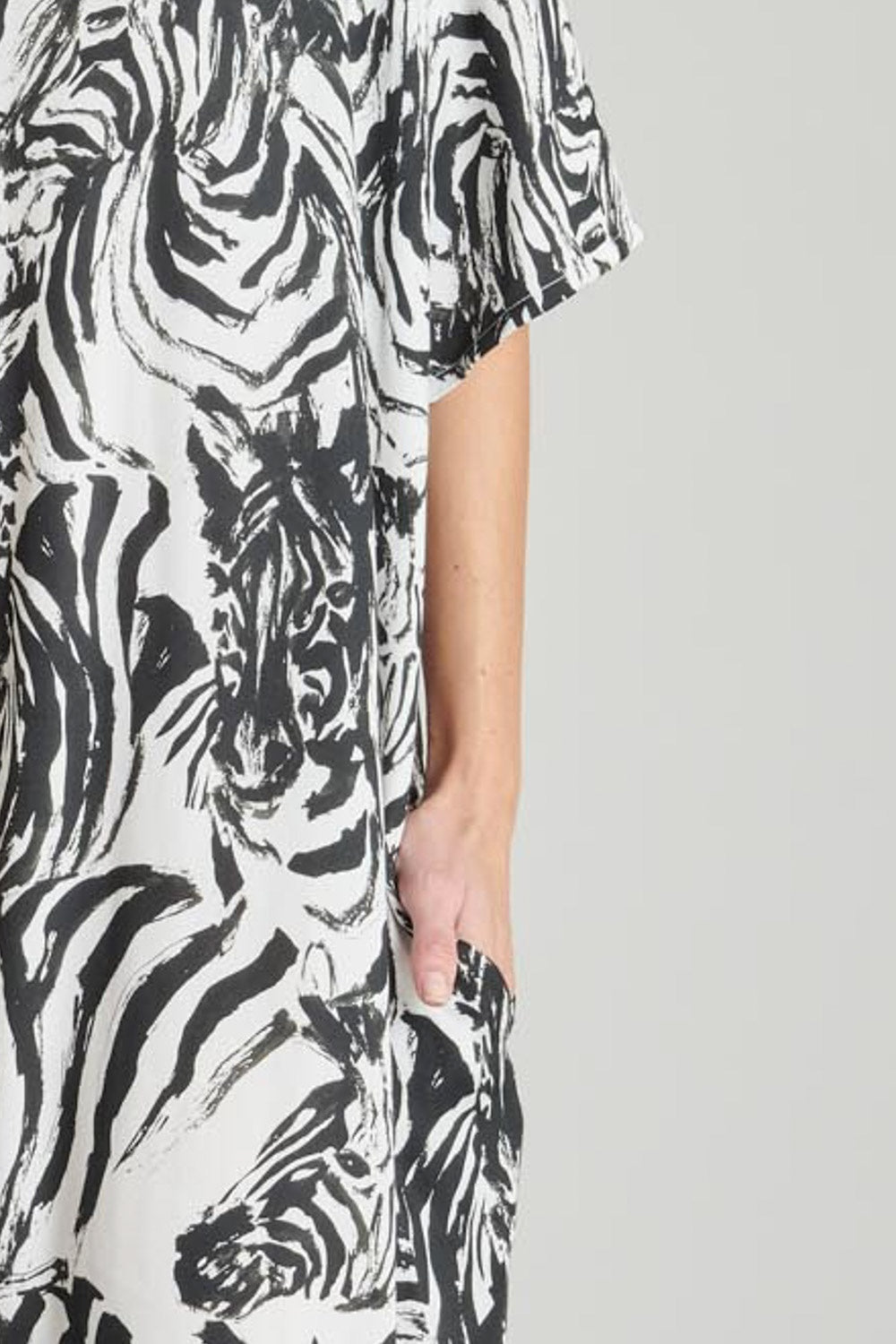 ZEBRE