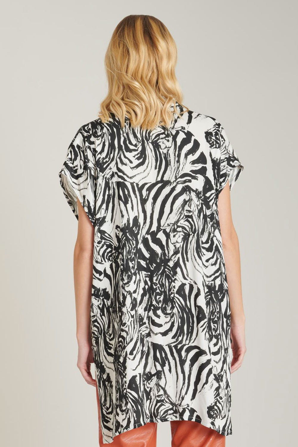 ZEBRE
