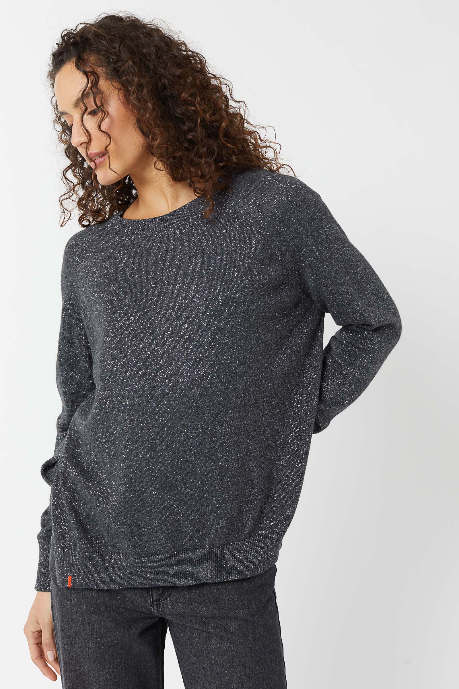 Pull LION H25