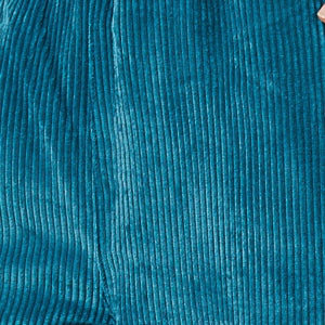 Veste VELOURS H25